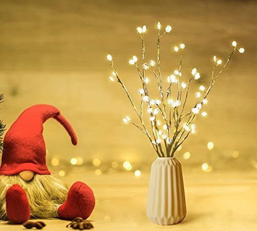 CTSC Lighted White Twig Branches 24IN 72 LED Lights with Timer, USB Or Battery Powered Artificial Tree Branch with Warm White Lucky Flower Lights for Holiday Christmas Decorations, Indoor Home Decor