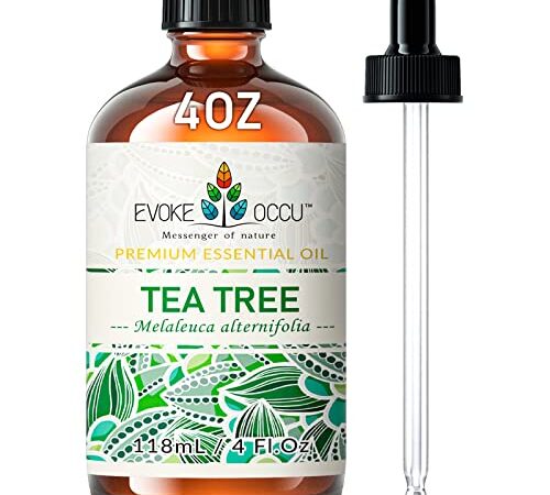 EVOKE OCCU Tea Tree Essential Oil 4 Oz, Pure Tea Tree Oil for Diffuser Skin Hair Body Nail Care- 4 FL Oz