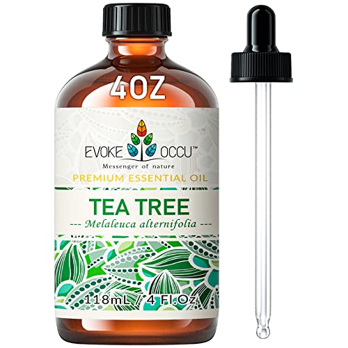 30 Best tea tree oil in 2024 [Based on 50 expert reviews]