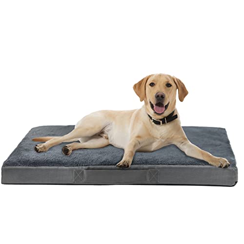 30 Best dog bed in 2024 [Based on 50 expert reviews]