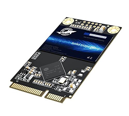 SSD SATA mSATA 64GB Dogfish Internal Solid State Drive High Performance Hard Drive Desktop Laptop SATA III 6Gb/s (64GB,MSATA)