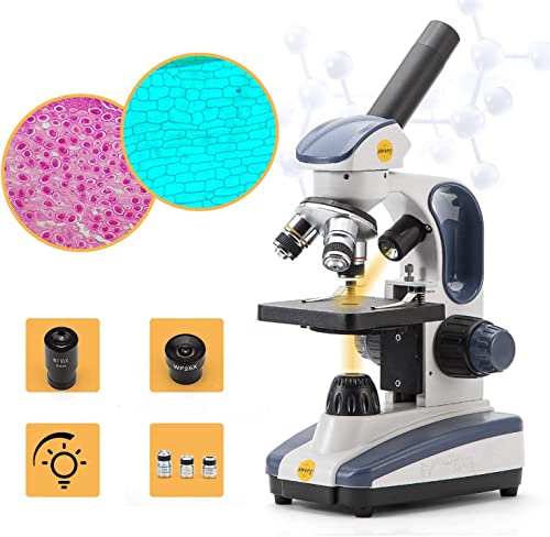 30 Best microscope in 2024 [Based on 50 expert reviews]