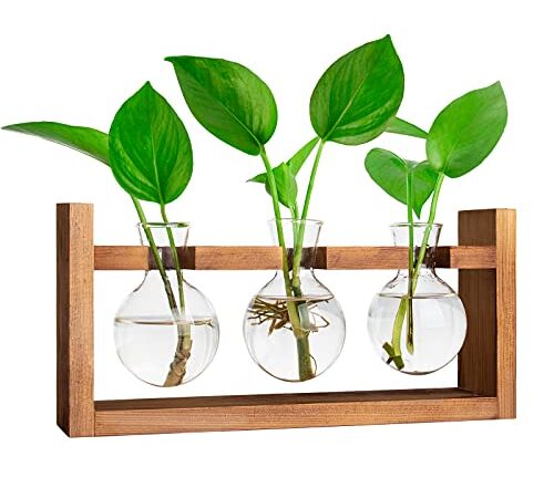 Ivolador Desktop Glass Planter Bulb with Retro Solid Wooden Stand and Metal Swivel Holder for Hydroponics Plants Home Garden Wedding Decor (3 Bulb)